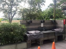 Sky@Eleven (D11), Condominium #143219592